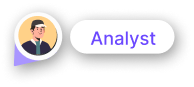 Analyst persona