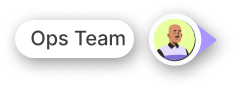 Ops Team persona